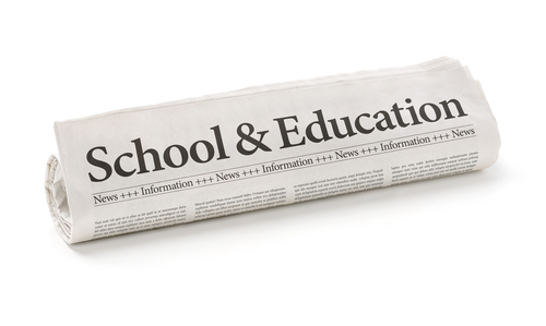 Newspaper